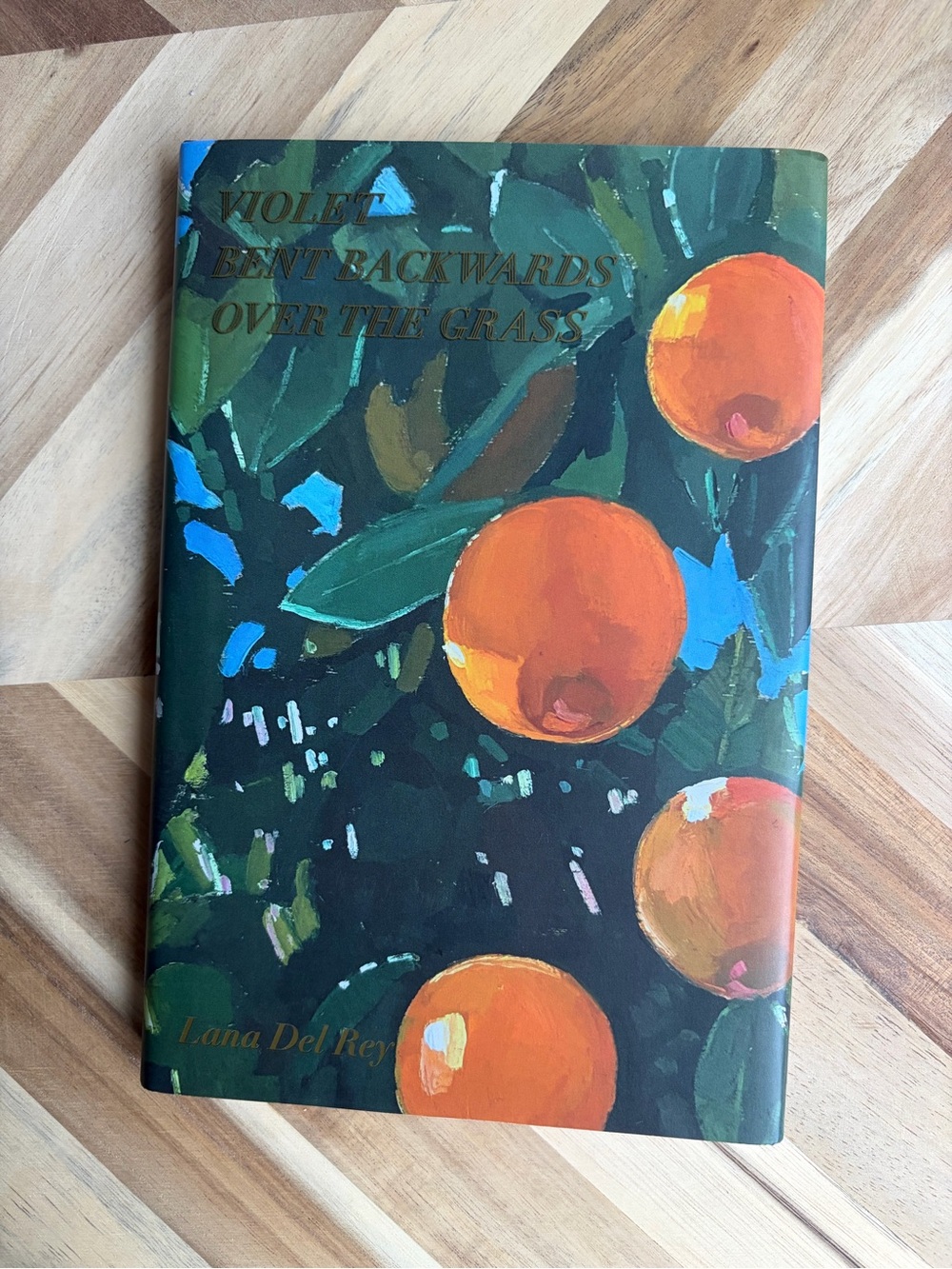 'Violet Bent Backwards Over the Grass' Orange & Green Hardcover